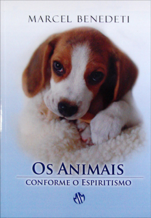 Os animais: conforme o espiritismo